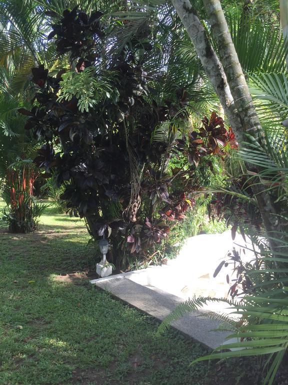 Magellan Boutique Hotel Cahuita Exterior photo