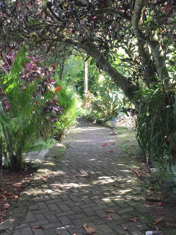 Magellan Boutique Hotel Cahuita Exterior photo