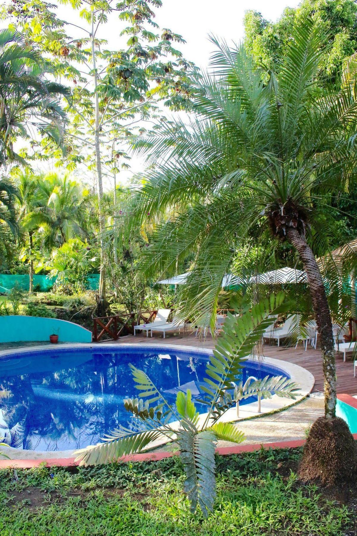 Magellan Boutique Hotel Cahuita Exterior photo