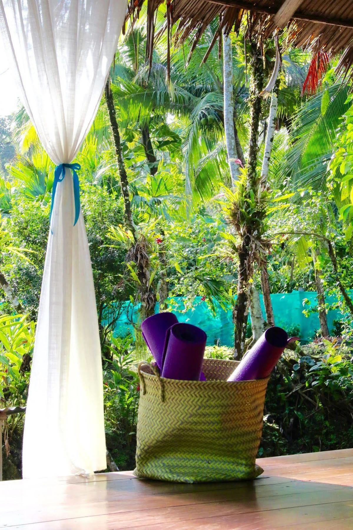 Magellan Boutique Hotel Cahuita Exterior photo